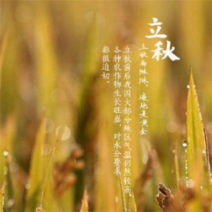 对生活励志的说说