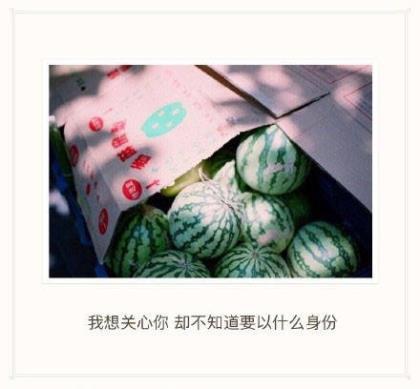 一句话心情签名语录 你给小草一点爱,小草给你