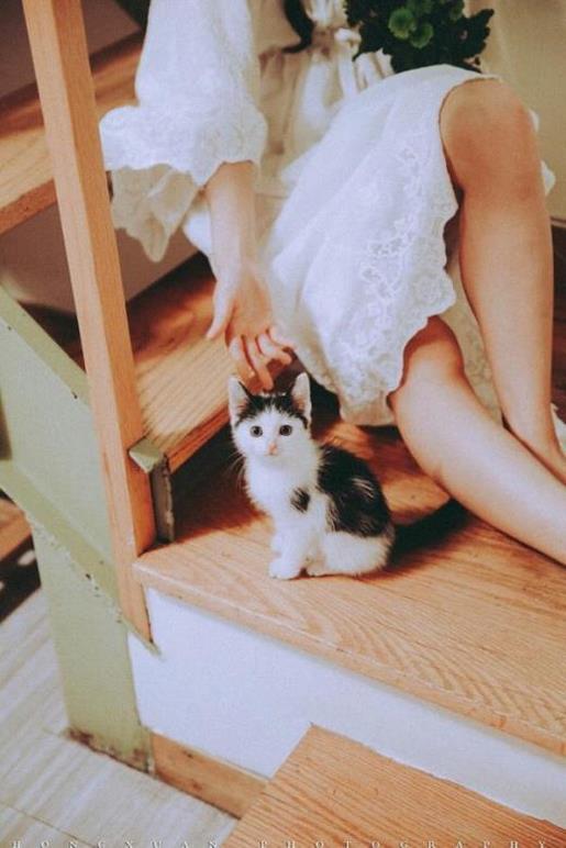 心灵鸡汤句子 qq自动回复可爱的句子