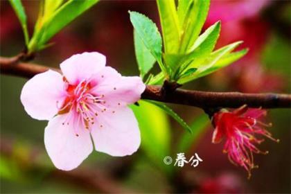 云南旅游发朋友圈文案 成功的曙光属于每一个奋