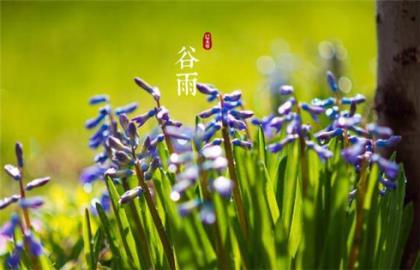 微商励志说说配图 唱歌给电脑捣乱,唱完后,崩