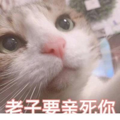 励志说说心情短语大全 短句说说暖心励志