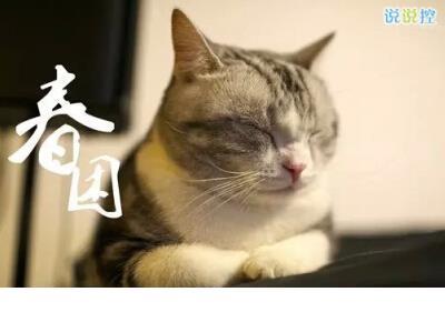 早上励志语录发朋友圈图片 努力赚钱的励志句子