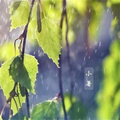 励志正能量句子 适合发朋友圈梦想正能量的句子