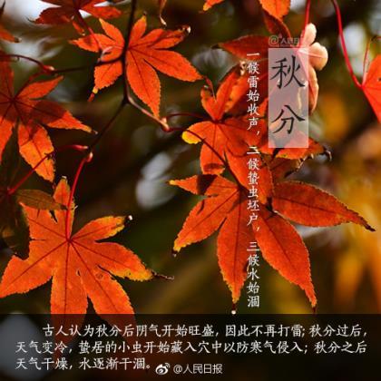 正能量励志个性签名 当你生病时,你的工作不会