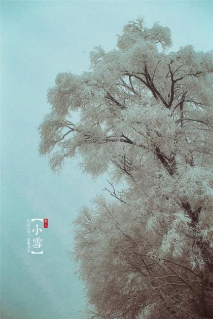 人生若只如初见唯美的句子摘抄 朝花夕拾读书笔