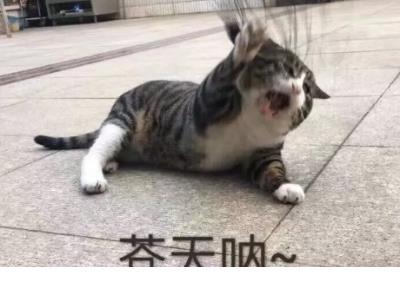 qq自动回复语句丧句子