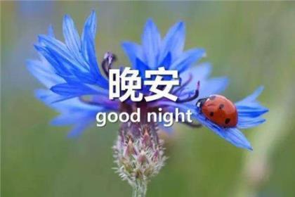 励志早安语简短 励志的句子早安语录