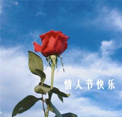 伤感句子说说心情短语 哲理人生感悟心情随笔